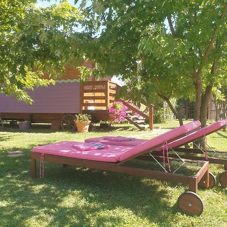 La Diligenza Bed & Breakfast Tagliolo Monferrato Luaran gambar